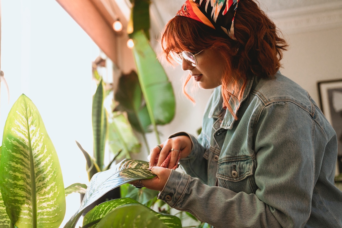 Young woman tending to indoor plants in apartment