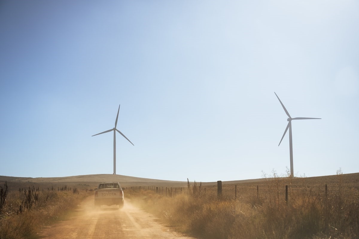 Windmills in a field