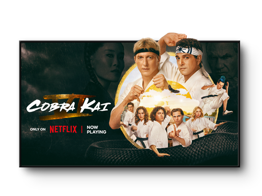 TV screen showing Netflix show Cobrakai