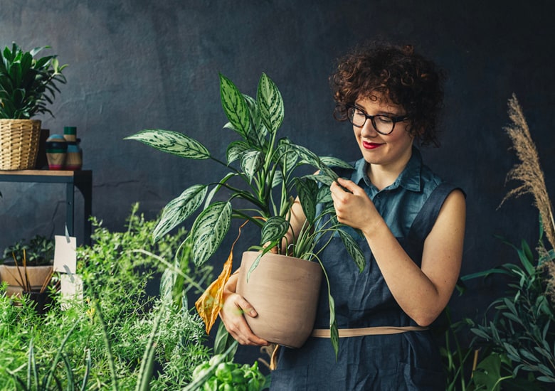 A woman holding an indoor plant nested in a round ceramic pot